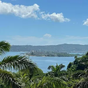  Apartment Spring Garden Mobay Luxurious Jamaica